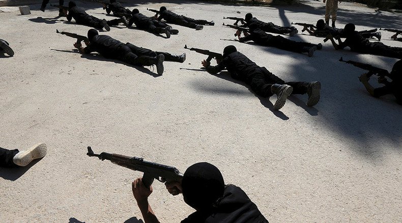 US senator says Washington’s $500 million Syrian training program aided terrorists – report 