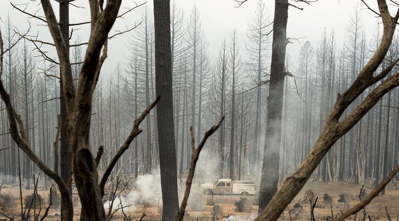 ‘Tinderbox’: 20% of California’s forests might die – research
