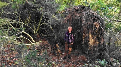 Ancient 6,300yo ‘eco house’ found near legendary Stonehenge monument in UK