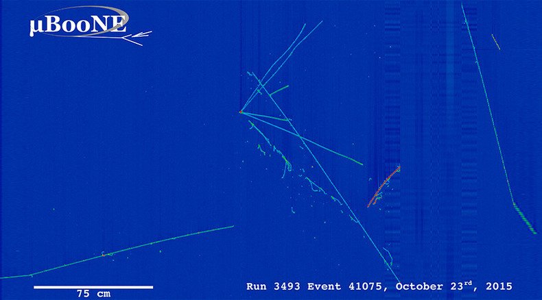 First evidence of elusive ‘ghost particles’ found inside particle accelerator