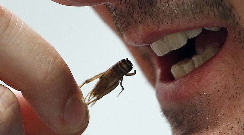 Eat insects as meat alternative, says govt report