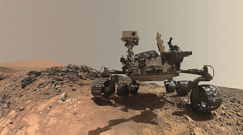 Future Mars rovers may sport fur, scientists suggest