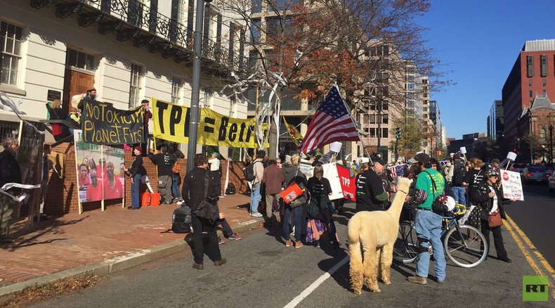 TPP activists storm Morgan Stanley office in Washington (VIDEO)