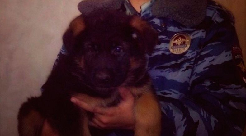 Russia to send puppy to France after police dog got killed in anti-terrorist raid