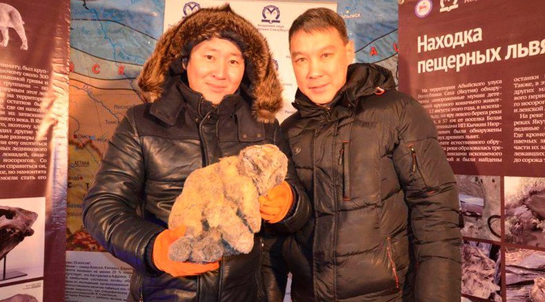 Cool for cats: Ancient frozen lion cubs found in Siberian glacier may be cloned (PHOTOS)