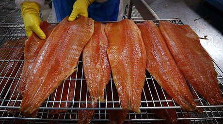  ‘Frankenfish:’ GMO salmon declared safe to eat, environmentalists rail against FDA