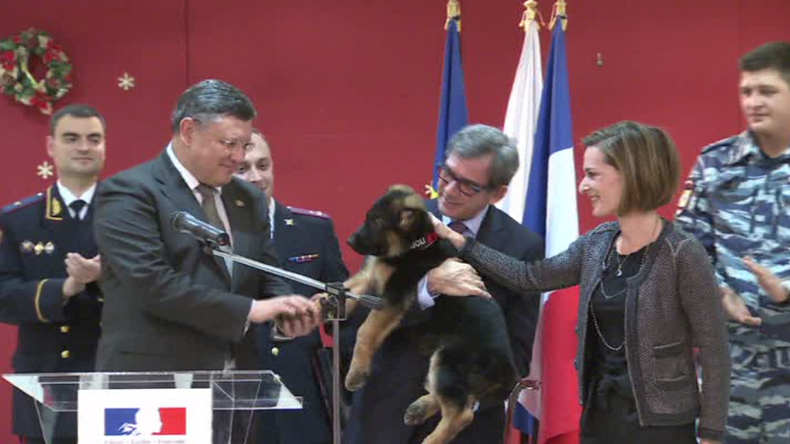 Russia’s puppy heading to France to replace dog killed in anti-terror raid (VIDEO)