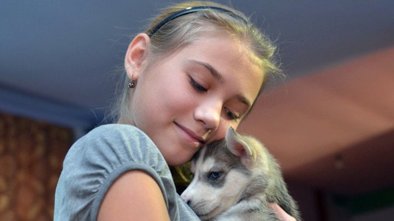 Holiday spirit: 12yo girl asks Putin for husky puppy for New Year…and gets it!