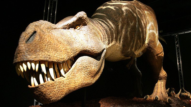 First dinosaurs walked the earth 10 million years earlier than believed – study 