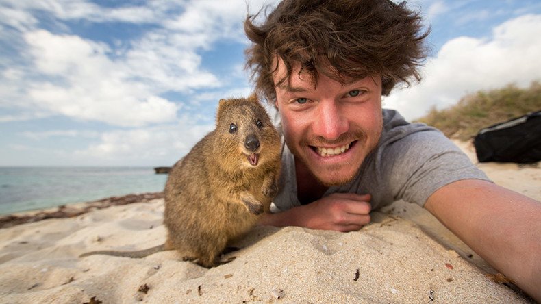 When animal selfies go right (and wrong)