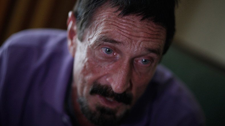 ‘More devastating than any nuclear war’: John McAfee on the coming cyber war with ISIS