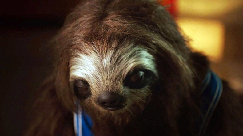 Aussie ‘stoner sloth’ anti-drug ad goes viral - for the wrong reasons