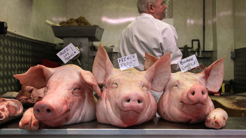 Pig heads dumped outside Muslim school in Lancashire treated as hate crime