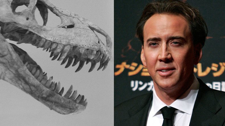 Stolen: Nicolas Cage to return $276k dino skull to Mongolia
