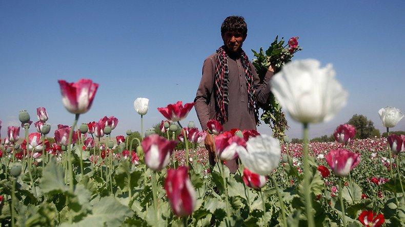 ‘Turkey’s porous border lets ISIS & Taliban profit from heroin trade’