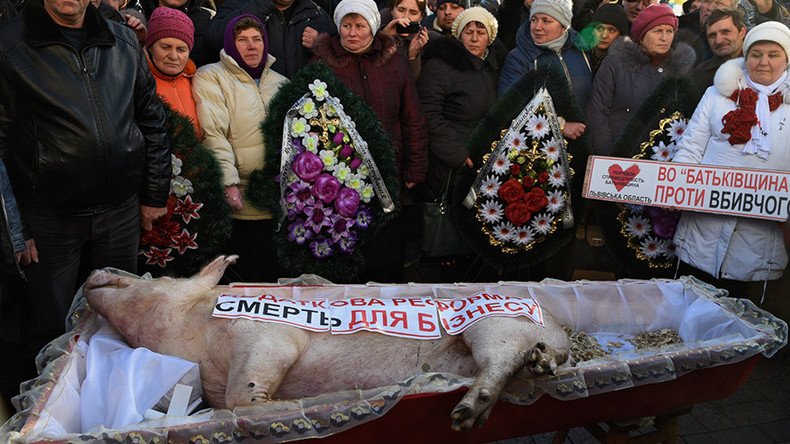 Pig’s funeral: Coffin brought to Ukraine parliament as hundreds protest new budget (VIDEO)