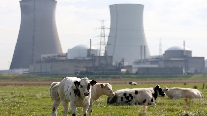 Belgium’s nuclear power plants ‘falling to bits’ – German officials