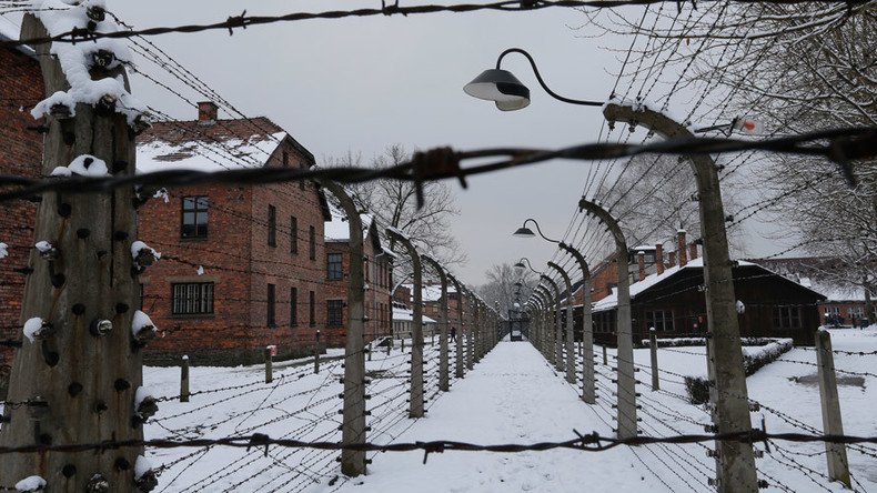 British boys accused of stealing Auschwitz artifacts ‘could face 10yrs in jail’