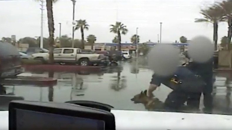 Dashcam video shows police injure infant with K-9, detain wrong man
