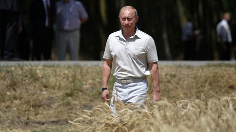 Putin wants Russia to become world's organic food superpower but first hopes to clip Turkey's wings