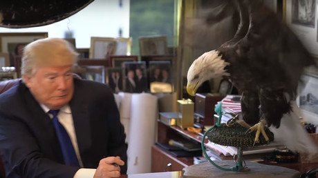 VIDEO: Trump attacked by bald eagle during TIME photoshoot