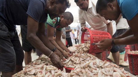 Wal-Mart, Red Lobster, Whole Foods and other retailers sell slave-peeled shrimp – report