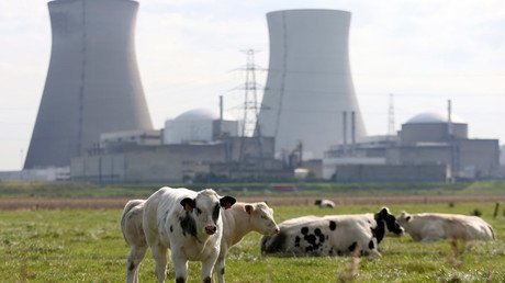 ISIS after EU nuclear plant? Paris attackers snooped on Belgian nuclear boss, media reveal