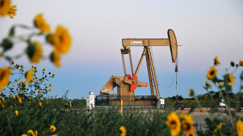 Top energy lobbyist bashes Obama regulations as oil production spikes in ‘American renaissance’