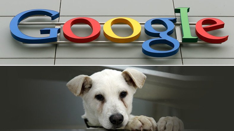 #WoofWoofWednesday! Google UK leaves dog in charge of Twitter account