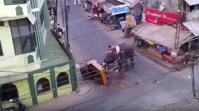 Elephant rage: Stressed ‘Nelly’ stomps Indian rickshaw (VIDEO)