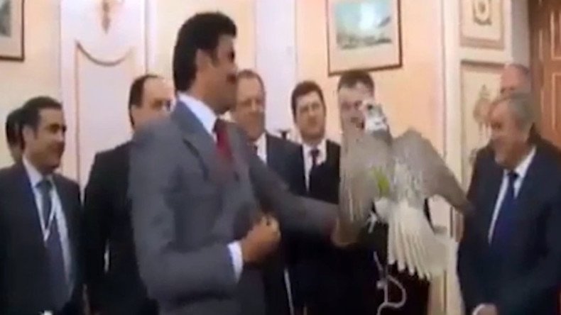 Feather diplomacy: Putin gifts falcon to visiting Emir of Qatar (VIDEO)