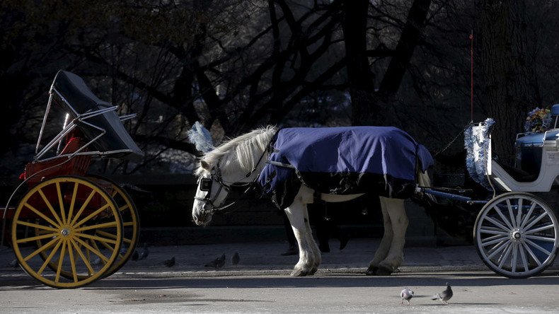Horses yes, pedicabs no in heart of NYC’s Central Park