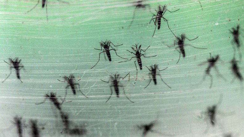 Zika virus: What you need to know about the latest global health scare