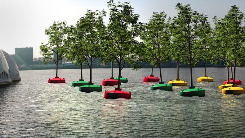 ‘Bobbing Forest’ adds splash of green to urban Dutch harbor