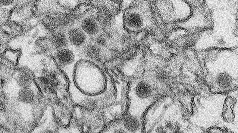 First cases of Zika virus detected in Arkansas, Virginia