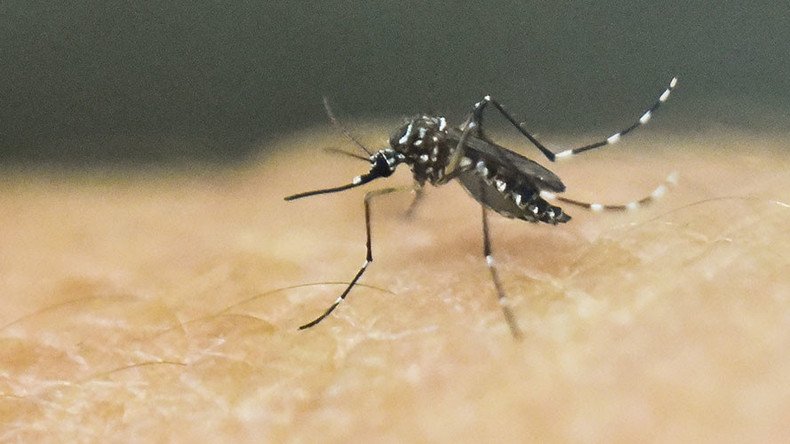 LA County, Minnesota confirm first cases of Zika virus