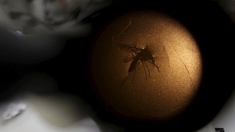 Zika virus mosquitoes could already be in Britain – expert