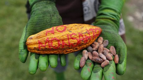 India slashes Monsanto's GMO seed royalty, says US firm 'free to leave' anytime