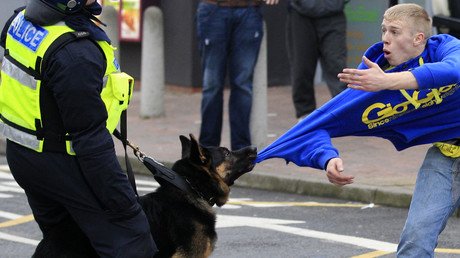 Gun dogs wanted: English cops sniff out canine crime-fighters 
