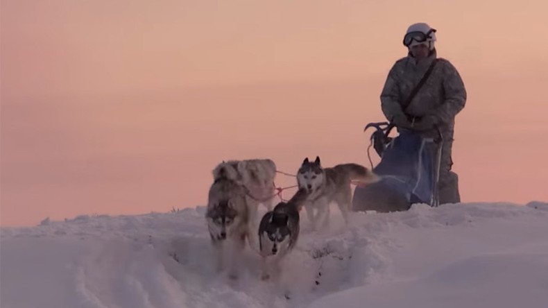 Russian Arctic troops train with huskies and reindeer (VIDEO)