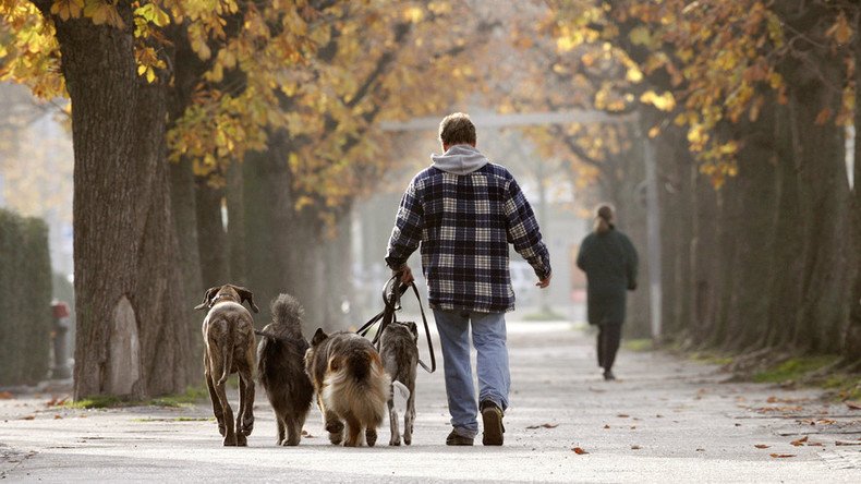 DNA-ing dog poo: Spanish city to create database of dog owners falling ‘foul’ of the law