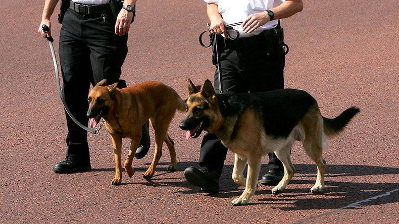 An arm & a leg? Body parts should be used to train police dogs, say academics