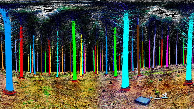 Future forestry: 3D space technology aims to cut down on logging 