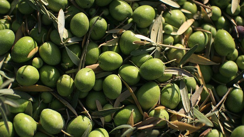 Going green? 85,000 tons of chemical-brightened olives seized in Italy