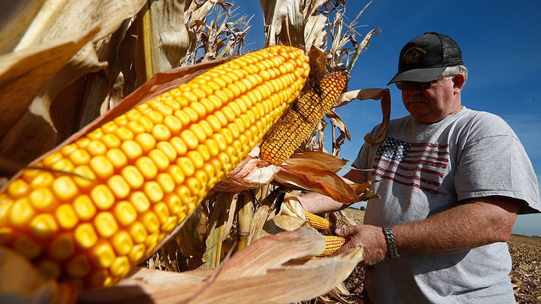 US 'disappointed' over Russia's corn & soybean ban