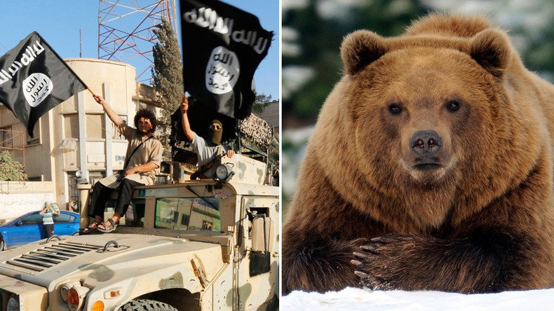 Is ISIS really shaving BEARS? How one media tweet nearly pitted PETA against jihadists