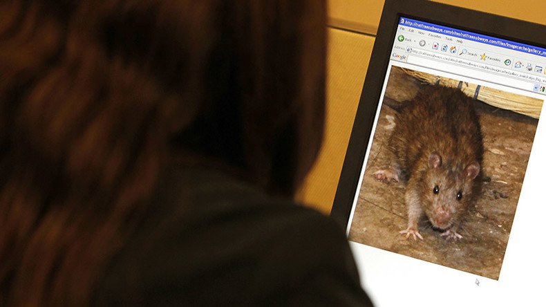 'Pizza rat' returns: Spotted with dessert in NYC subway (VIDEO)