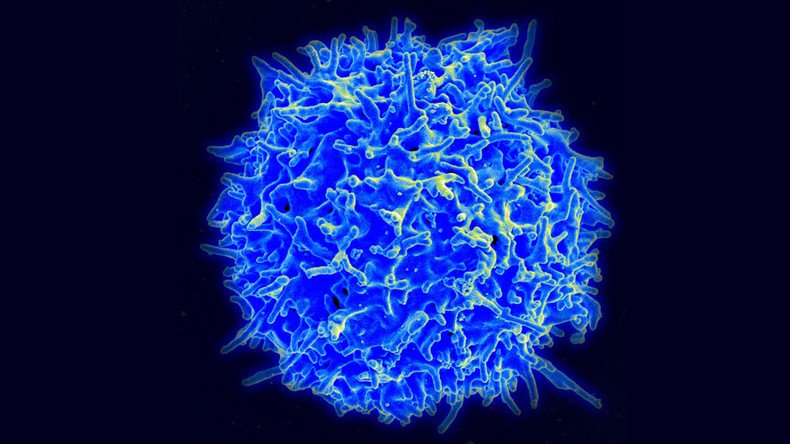 T-cell therapy shows 'extraordinary' results in patients with terminal blood cancer