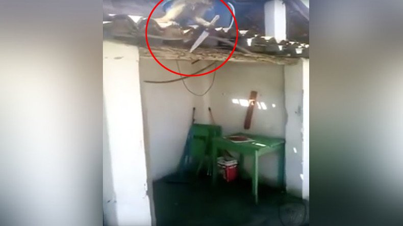 ‘I think you’ve had enough’: Knife-wielding drunk monkey terrorizes Brazilian bar (VIDEO)