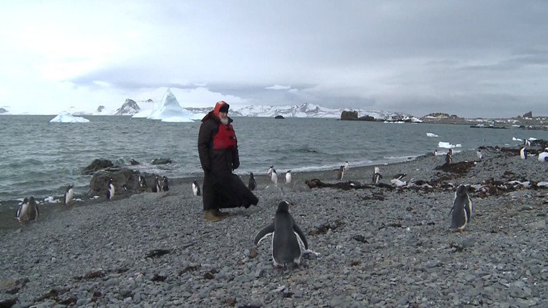 Patriarch Kirill strolls among penguins, prays in Orthodox church in Antarctica (VIDEO)
